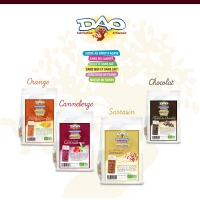 DAO 1
